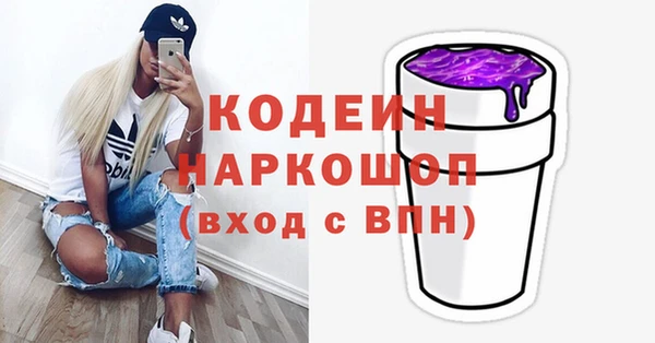 2c-b Ельня