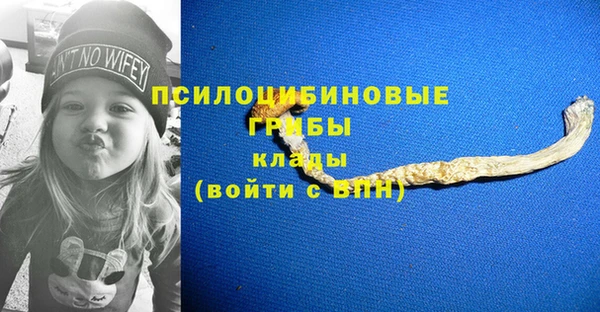 спиды Армянск