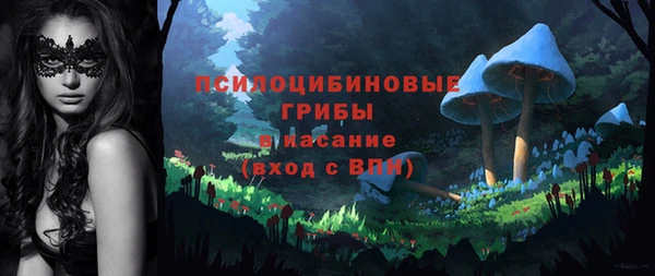 спиды Армянск